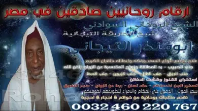 ارقام روحانيين صادقين في مصر