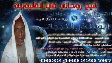 شيخ روحاني في القليوبية