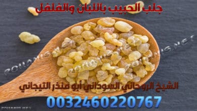 جلب الحبيب باللبان والفلفل