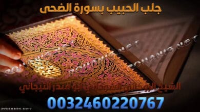 جلب الحبيب بسورة الضحى