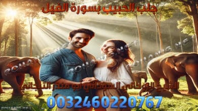 جلب الحبيب بسورة الفيل