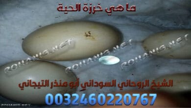 ما هي خرزة الحية