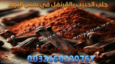 جلب الحبيب بالقرنفل في نفس اليوم