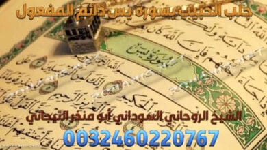جلب الحبيب بسورة يس دائم المفعول