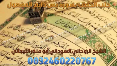 جلب الحبيب بسورة يس دائم المفعول