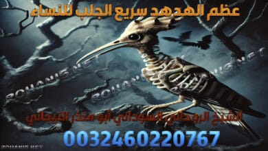 عظم الهدهد سريع الجلب للنساء