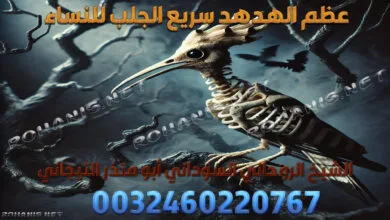 عظم الهدهد سريع الجلب للنساء